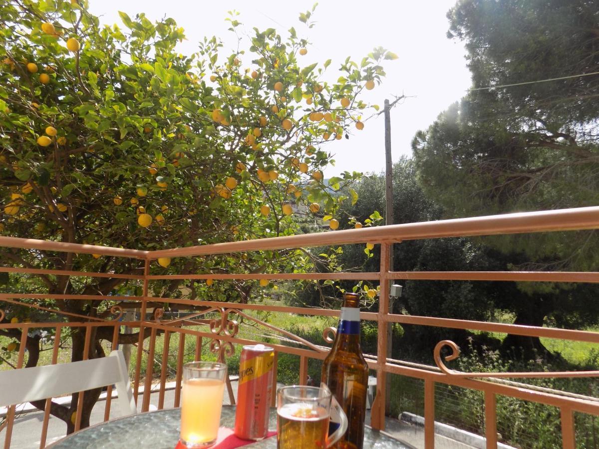Afrodite Spacious Apartments! Agia Efimia Luaran gambar